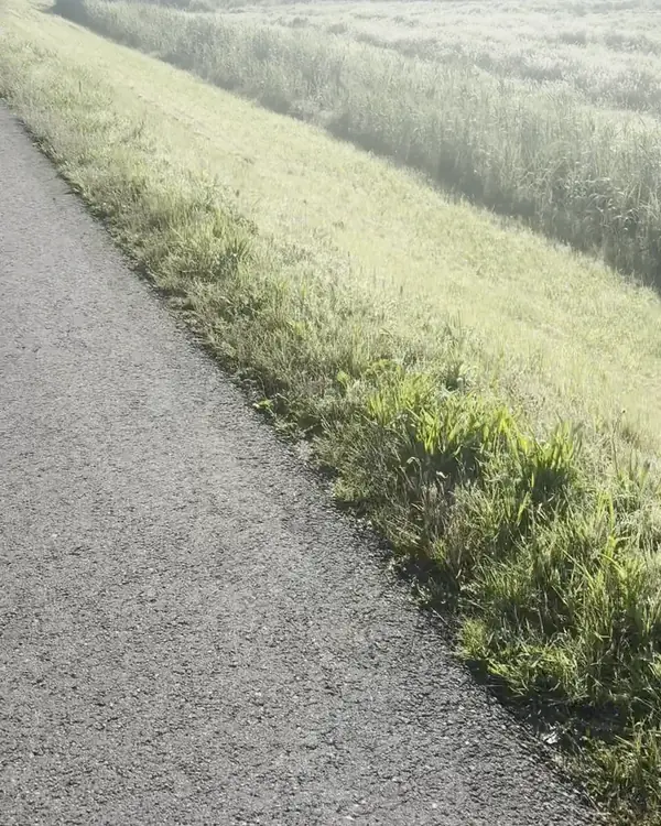 Fietspad over de dijk langs de IJssel bij Zwolle